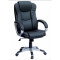 Ergonomic Executive Chairs